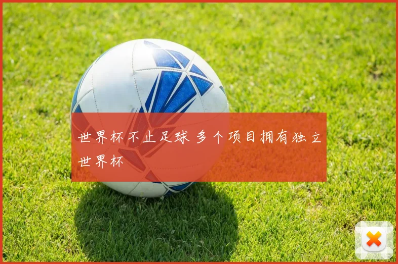 世界杯不止足球 多个项目拥有独立世界杯