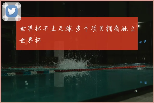 世界杯不止足球 多个项目拥有独立世界杯