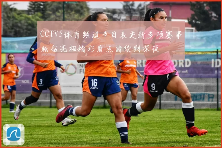 CCTV5体育频道节目表更新多项赛事轮番亮相精彩看点持续到深夜