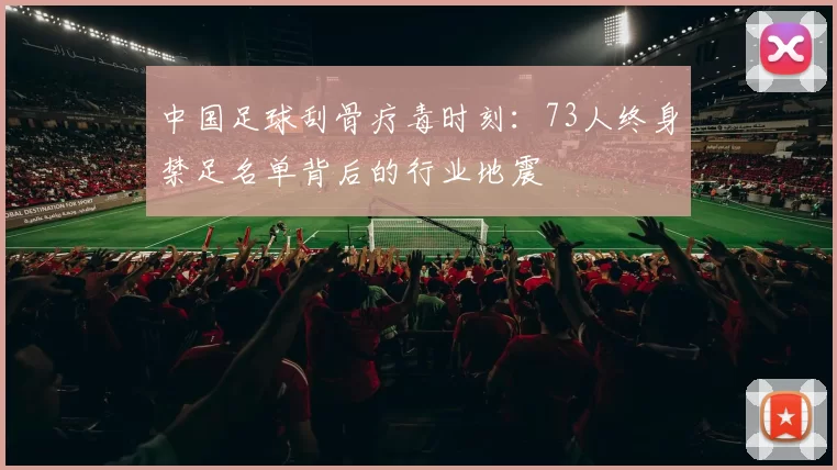 中国足球刮骨疗毒时刻：73人终身禁足名单背后的行业地震
