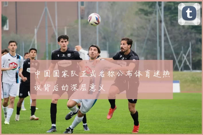 中国国家队正式名称公布体育迷热议背后的深层意义